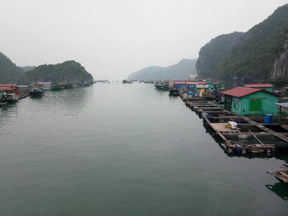 Cat Ba Daily Life Hotel Dong Khe Sau Exteriör bild